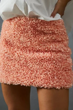 Skirts|Skirts^Nasty Gal FloralAppliqueLow Waist Mini Skirt |